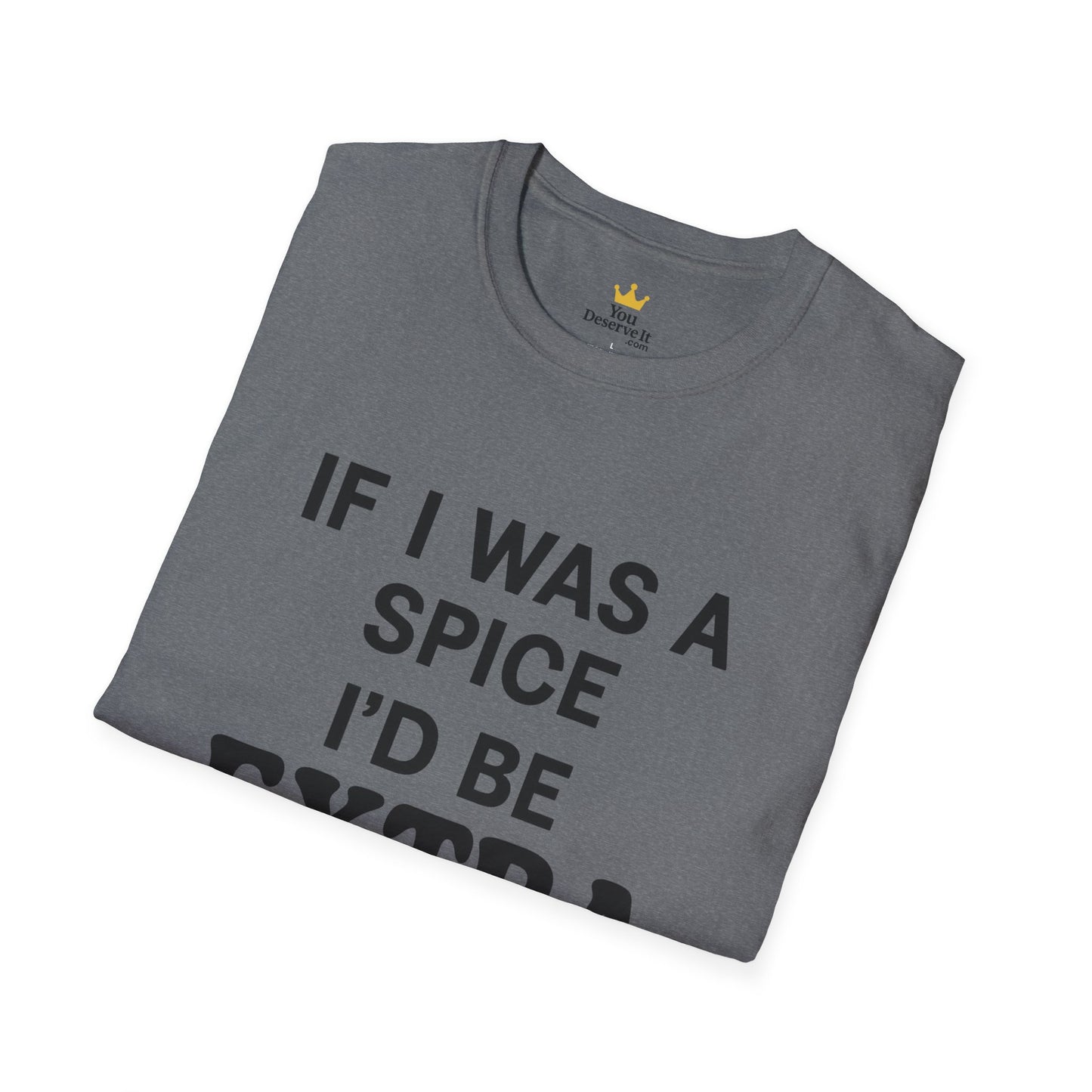 Extra Salty Shirt | Sarcastic Funny Spice Quote T-Shirt for Sass Queens