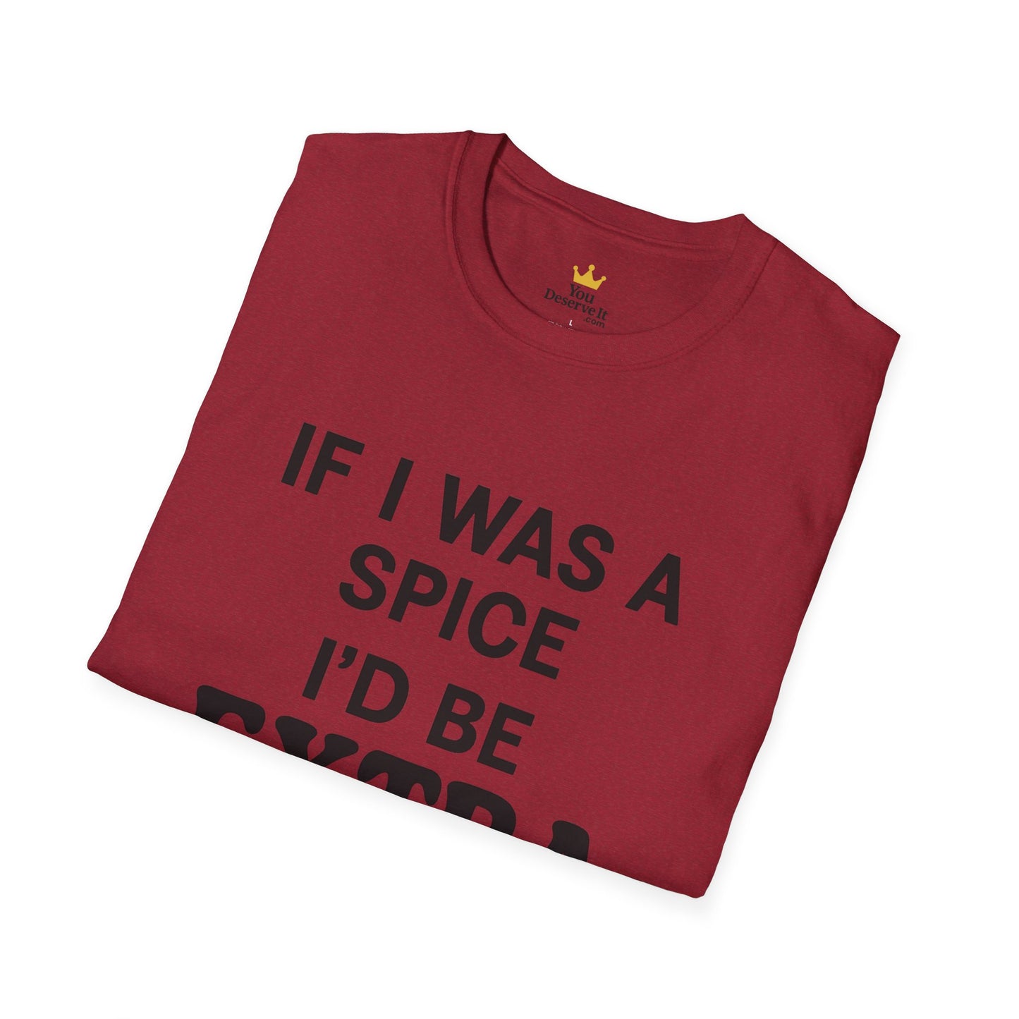 Extra Salty Shirt | Sarcastic Funny Spice Quote T-Shirt for Sass Queens