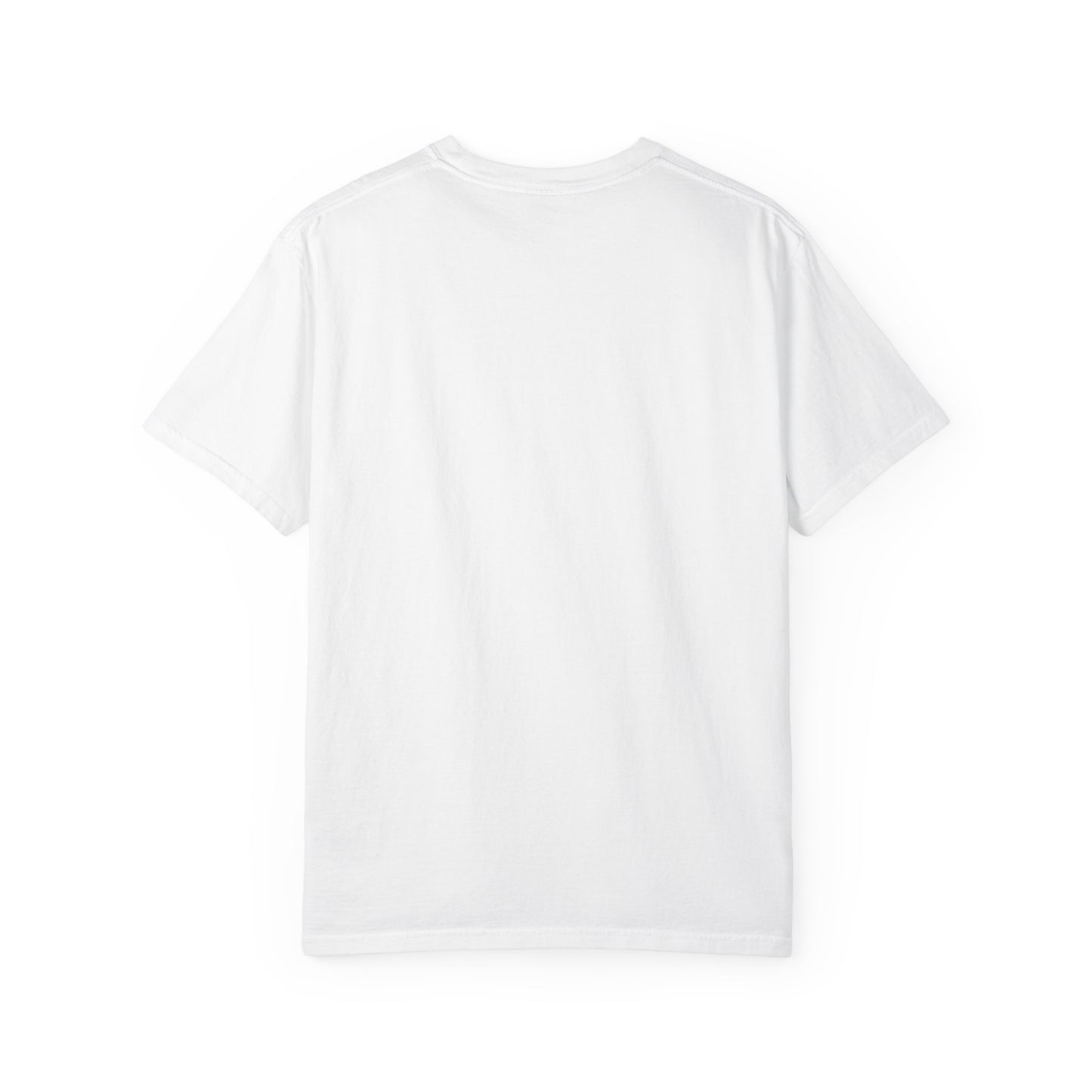 Funny Unisex T-shirt - I'm Not Arguing I'm Just Explaining Why I'm Right